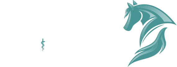 Paardenpraktijk Oost Nederland